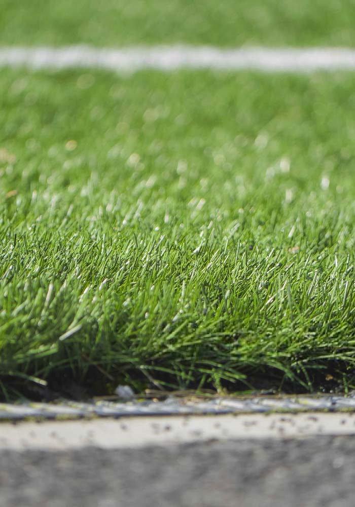 Arriendo de canchas de pasto sintético en Coquimbo | Rincon Sport Spa