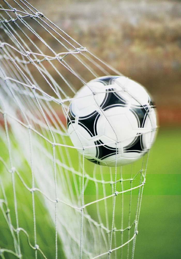Arriendo de canchas de pasto sintético en Coquimbo | Rincon Sport Spa