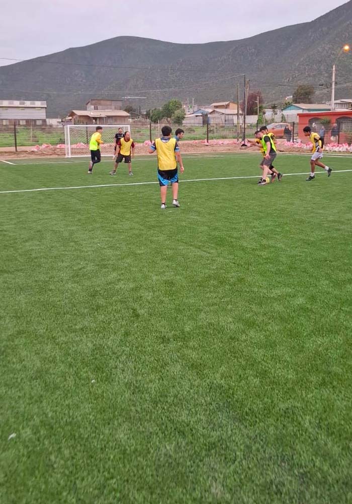 Arriendo de canchas de pasto sintético en Coquimbo | Rincon Sport Spa