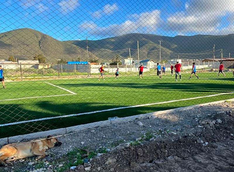 Arriendo de canchas de pasto sintético en Coquimbo | Rincon Sport Spa